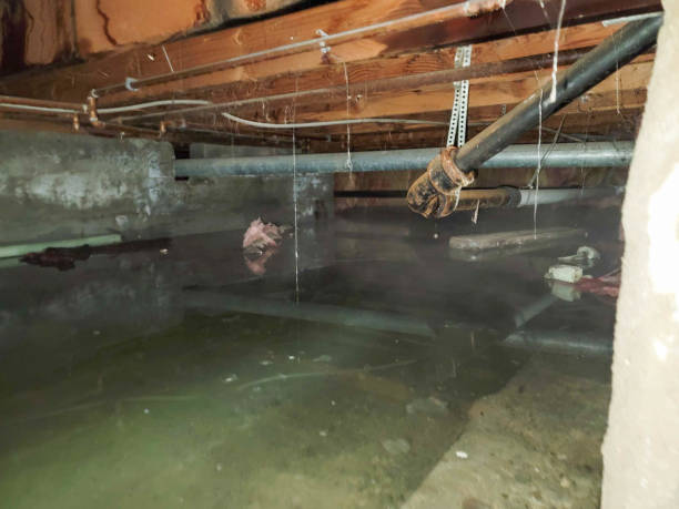 Water damage restoration process in NM