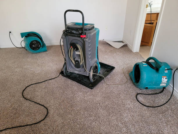Best Flood damage cleanup  in South Valley, NM