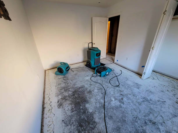 Best 24/7 water damage repair  in South Valley, NM
