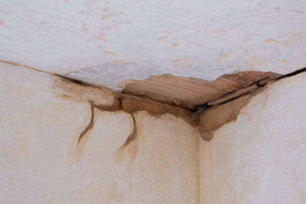 Reliable NM Water damage restoration Solutions