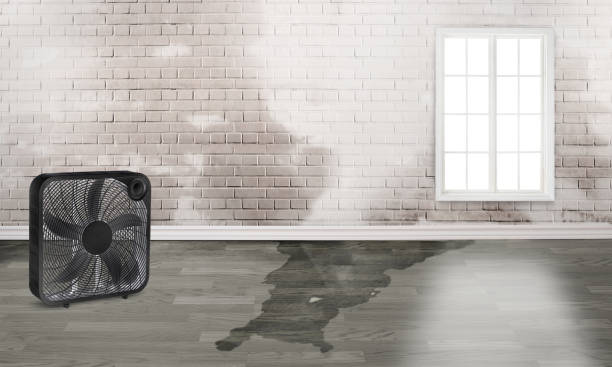 Water damage restoration insurance claims in NM