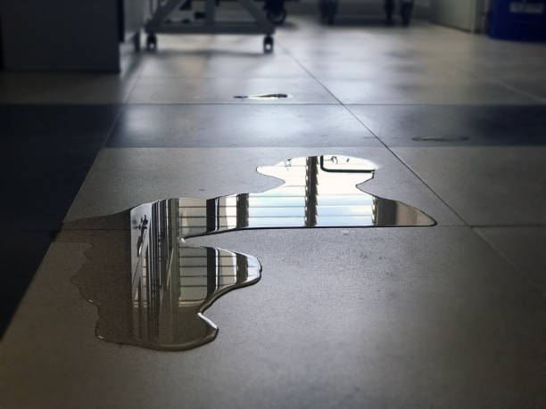 Reliable NM Water damage restoration Solutions