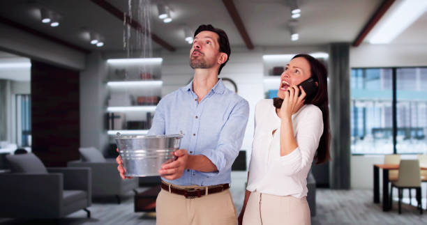 Best Basement water damage restoration  in South Valley, NM