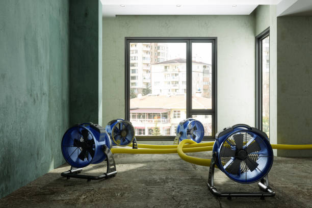 Best Water damage restoration near me  in South Valley, NM