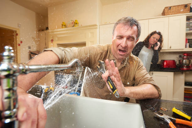 Best Professional water damage repair  in South Valley, NM